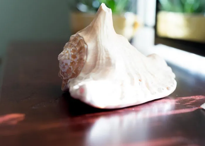 度假居 Maria's House