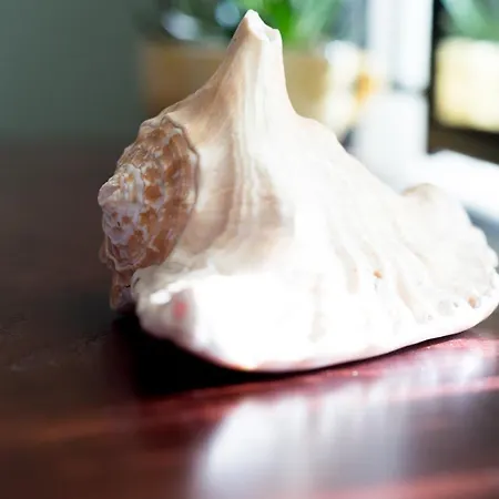 度假居 Maria's House