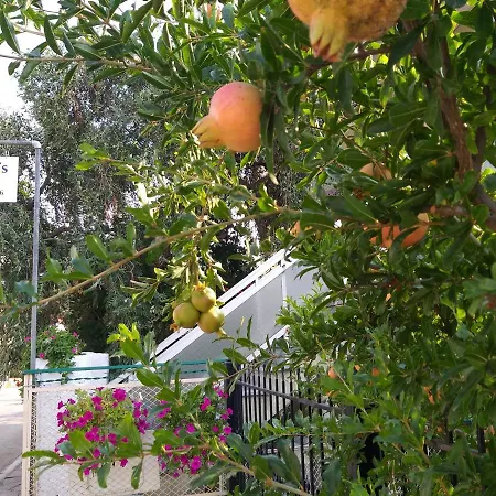 度假居 Maria's House *